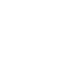Rich Industry Experience